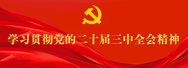 学习贯彻党的二十届三中全会精神